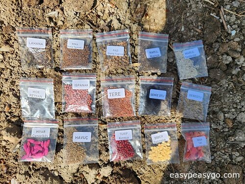 How to Sow Seeds? How to Plant and Cultivate?
